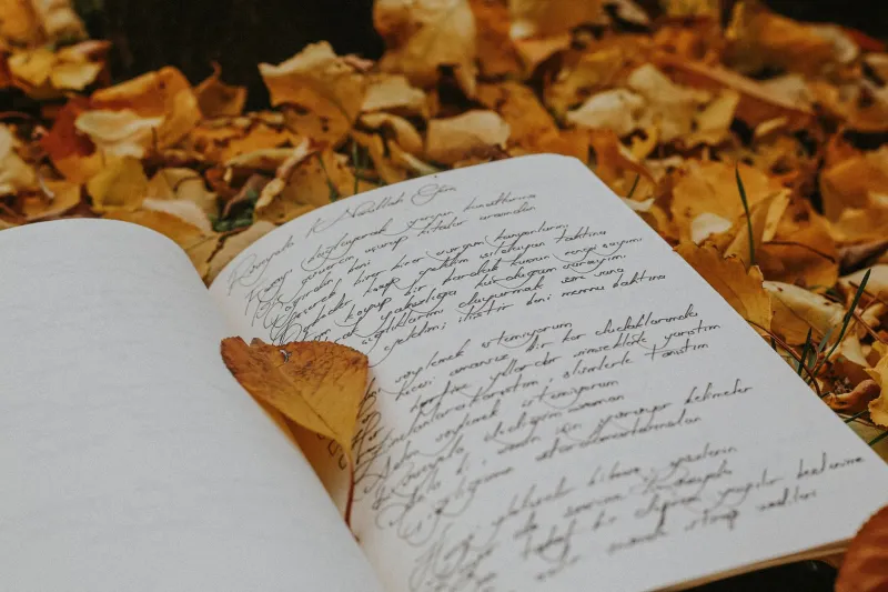 Let the Season Lead: How Haiku's Old Clock Is Fixing the Burnout Calendar